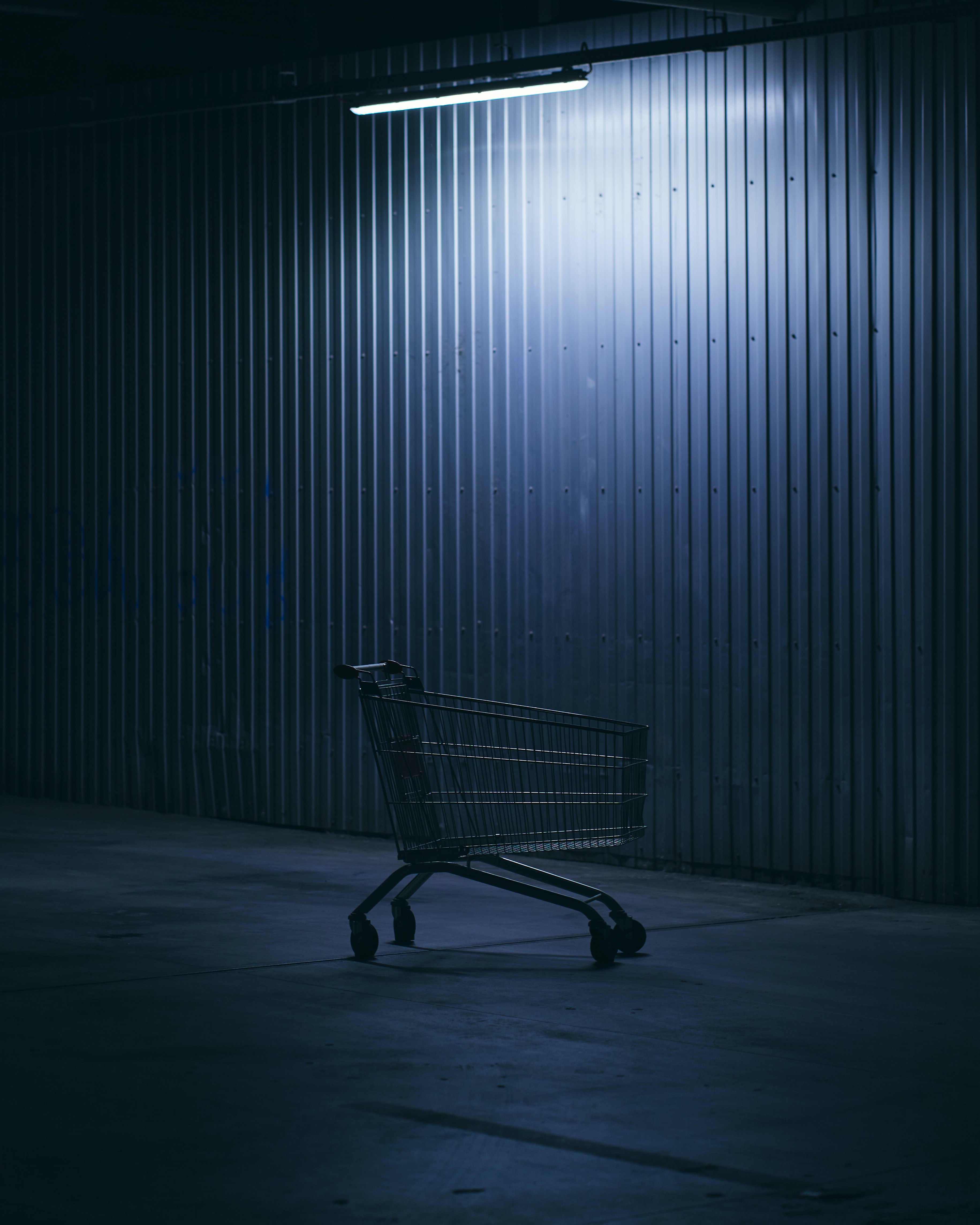 Cart-Abandonment